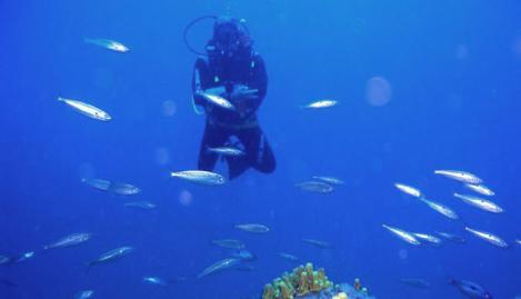 Diving base Beli - Slika 6