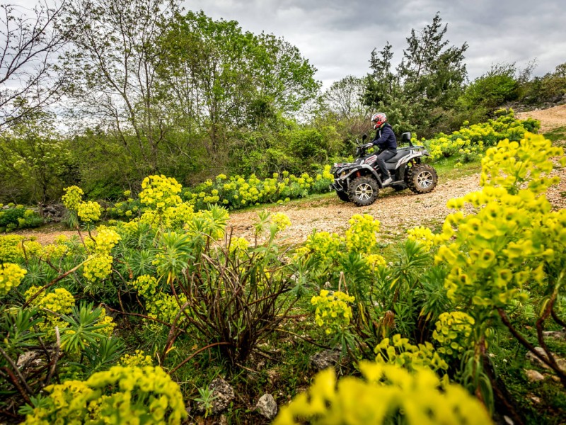 Quad-Tour #4