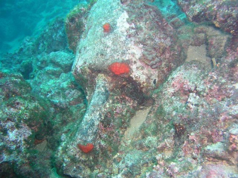 Diving #2
