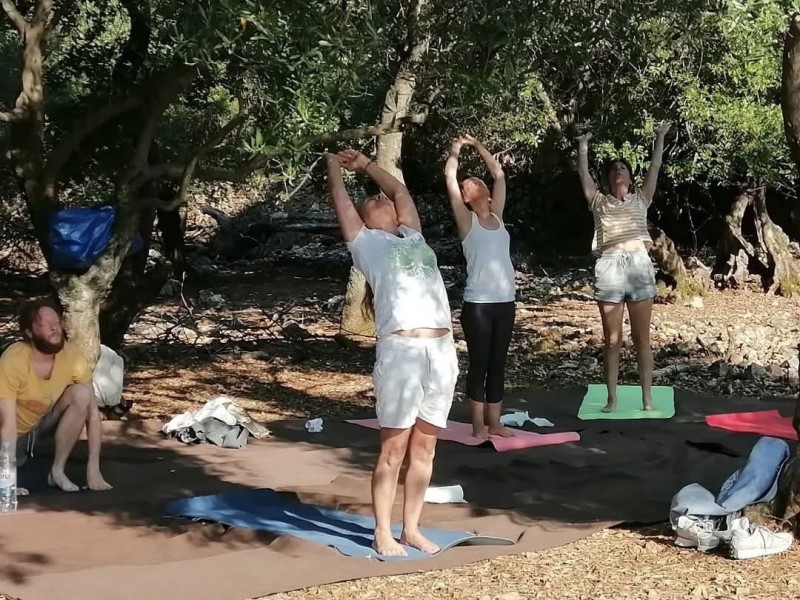 Joga & branje maslina #2