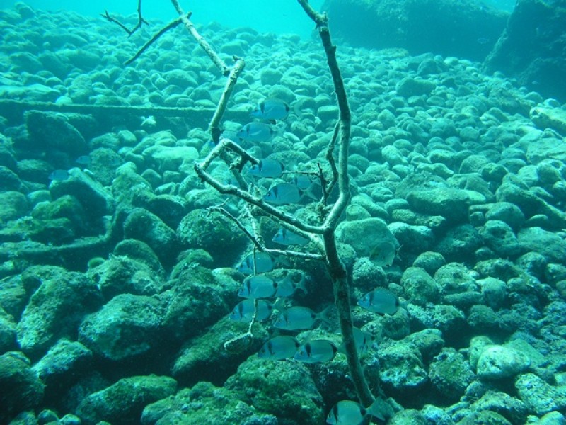 Immersione #3